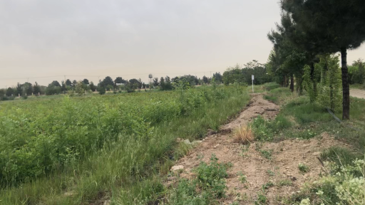 عکس ورودی نهالستان طرق مشهد