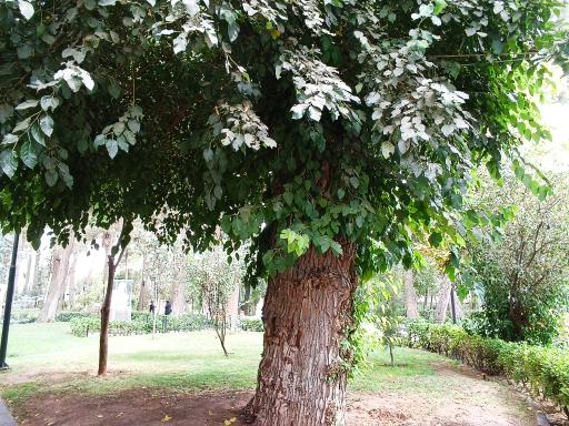 عکس بوستان خیام