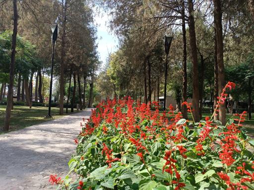 عکس بوستان خیام