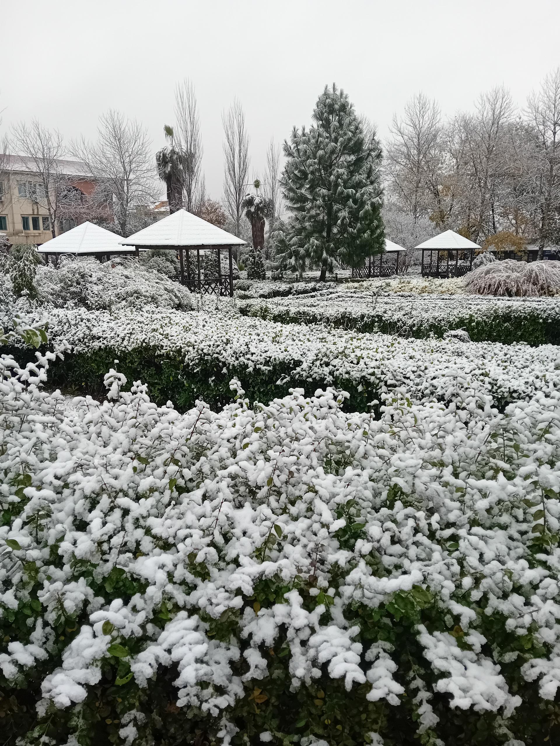 عکس دانشگاه شمال