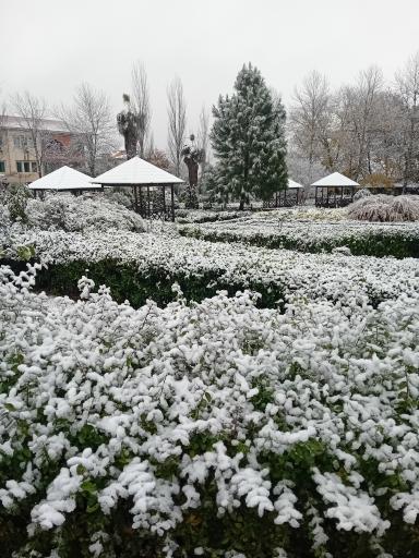 عکس دانشگاه شمال