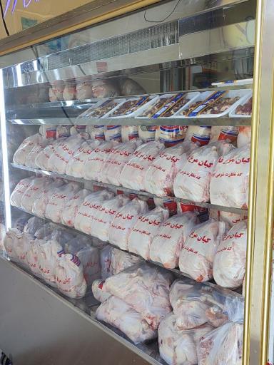 عکس مرغ و پروتئین شاپورجانی 