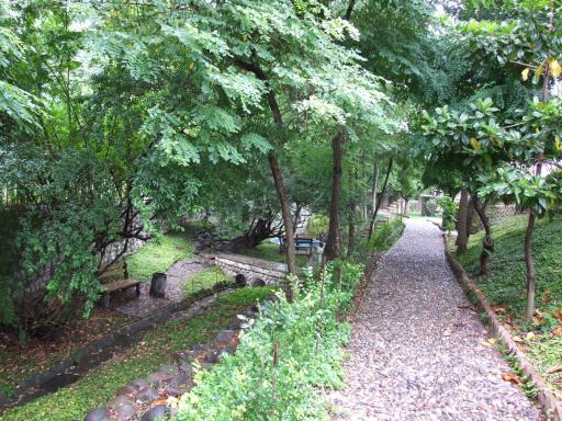 عکس دانشگاه شمال