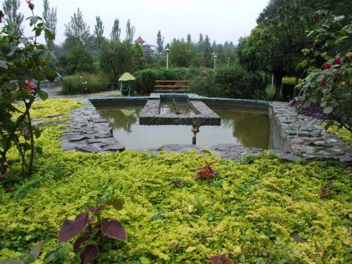 عکس دانشگاه شمال