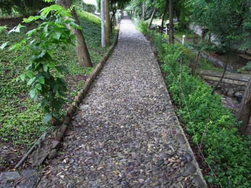 عکس دانشگاه شمال