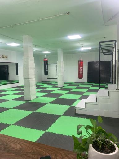 عکس باشگاه ورزشی آریان