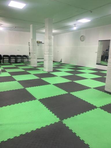 عکس باشگاه ورزشی آریان