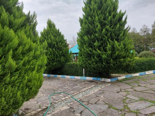 عکس دانشگاه شمال