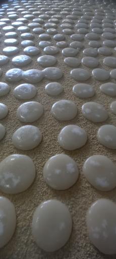 عکس نقل و نبات پزی منصور