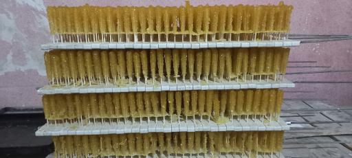 عکس نقل و نبات پزی منصور