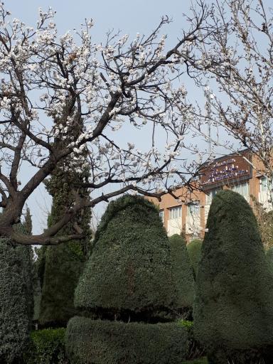 عکس ساختمان مرکزی دانشگاه علامه طباطبائی 