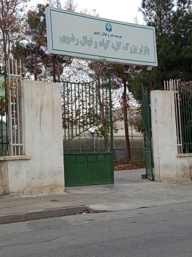 عکس بازار بزرگ گل گیاه و نهال رضوی 