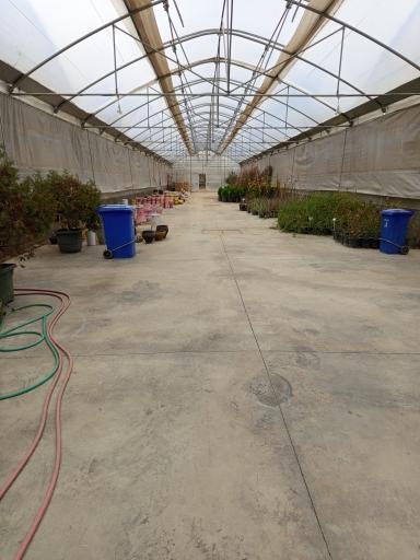 عکس بازار بزرگ گل گیاه و نهال رضوی 