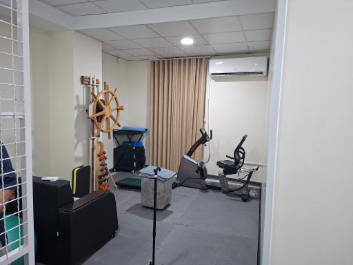 عکس فیزیوتراپی کورش