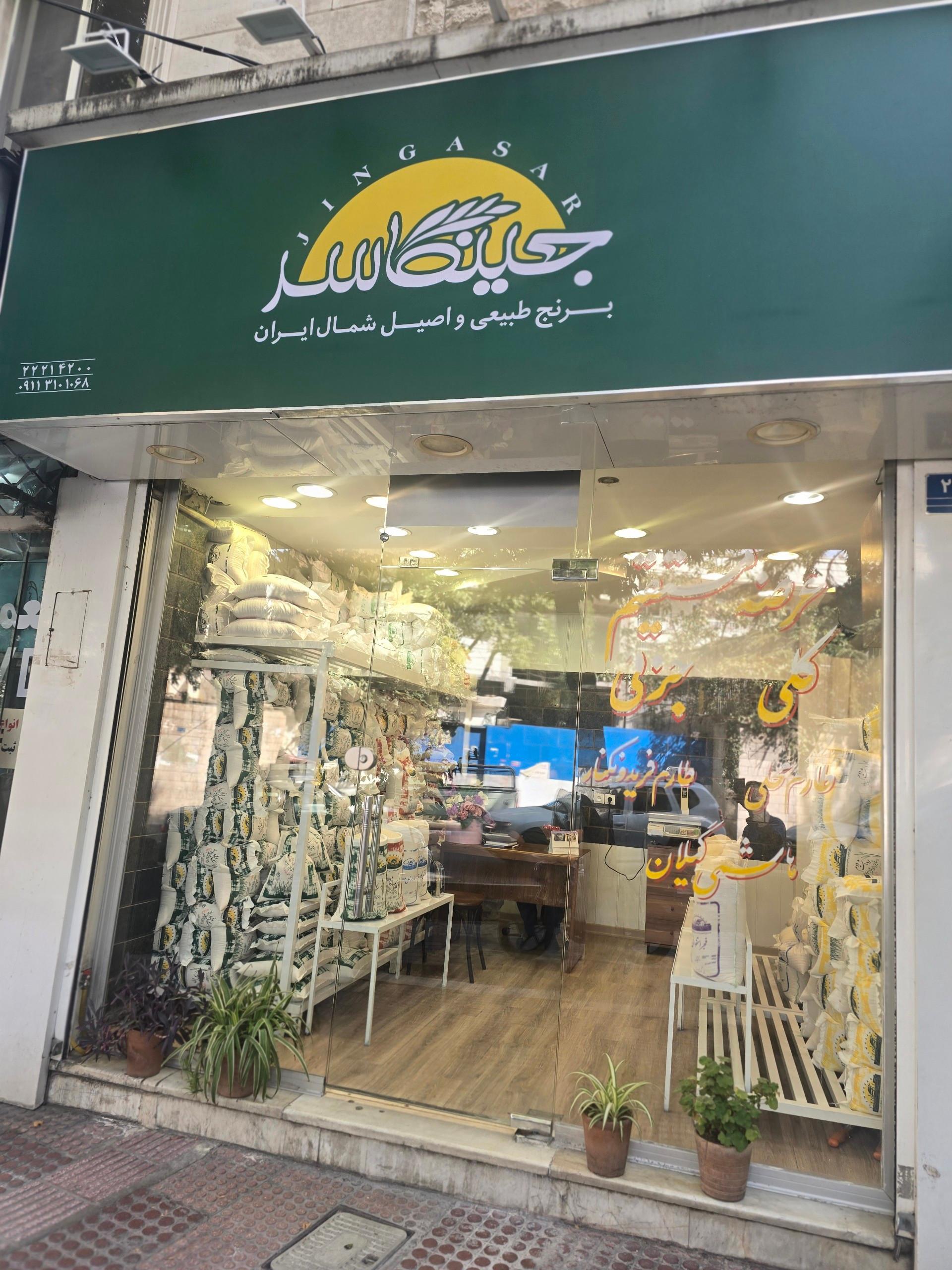 عکس برنج جینگاسر 