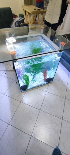 عکس آکواریوم شریمپ سنتر