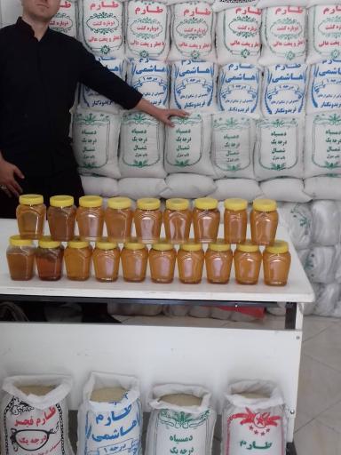 عکس برنج 101 شمال