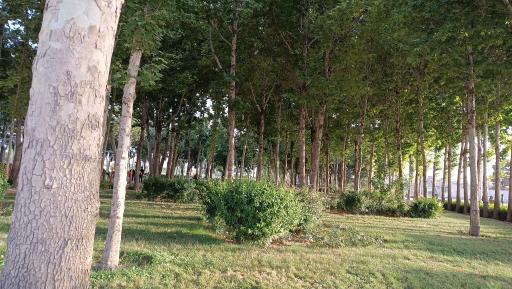 عکس پارک ساحلی گارماسه