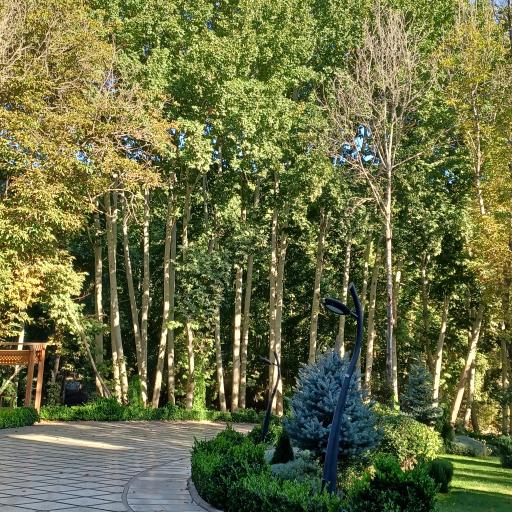 عکس دهکده سلامت محب