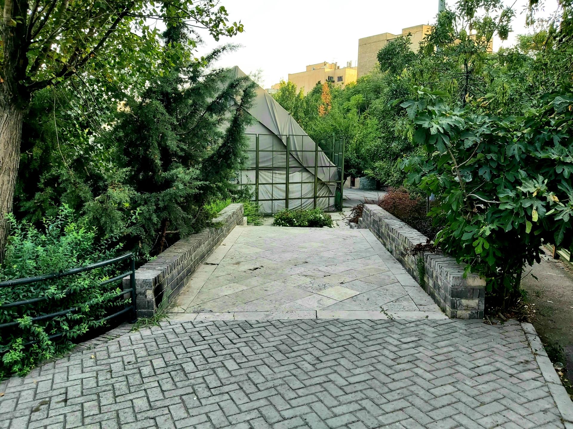 عکس باشگاه تنیس نظری