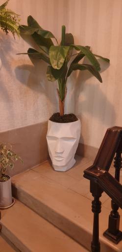 عکس کلینیک زیبایی پوست و مو دلین