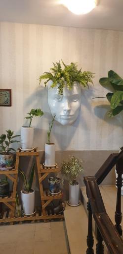 عکس کلینیک زیبایی پوست و مو دلین