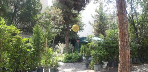 عکس گل و گیاه تهرانپارس 