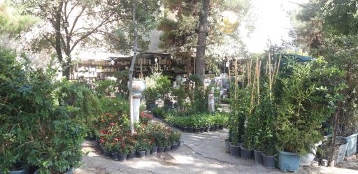 گل و گیاه تهرانپارس 