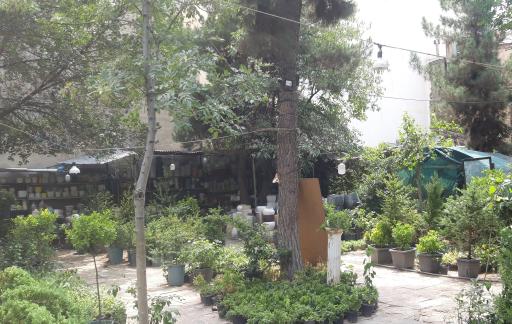 عکس گل و گیاه تهرانپارس 