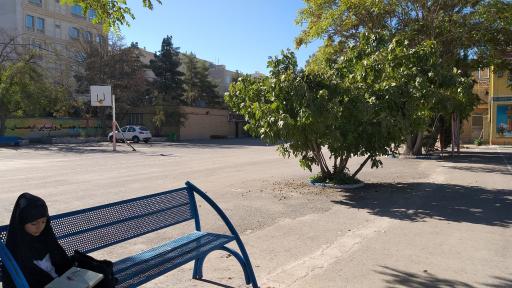 عکس دبیرستان دوره دوم تقواپیشگان شاهد 
