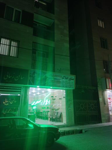 املاک سعید