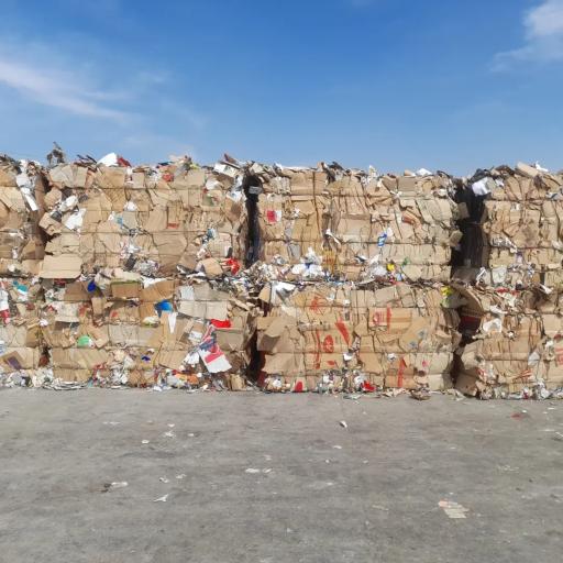 عکس پرس کارتن جاوید