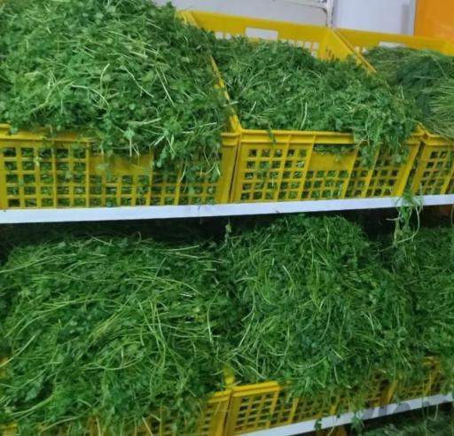 عکس سبزی مارکت عزت پور