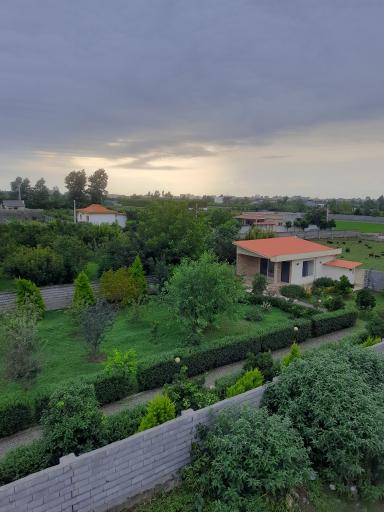 عکس کنسی