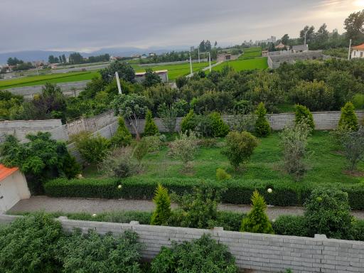 کنسی