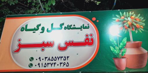 عکس نمایشگاه گل و گیاه نفس سبز