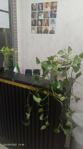 عکس بوتیک سلبریتی