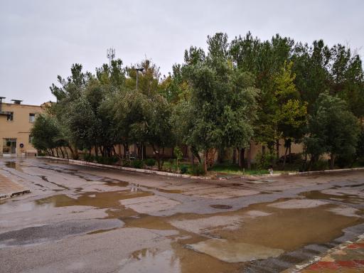 عکس خوابگاه دخترانه پیراپزشکی