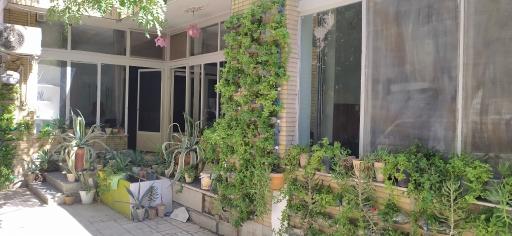 عکس آکادمی موسیقی و زبان نوای بهنواز