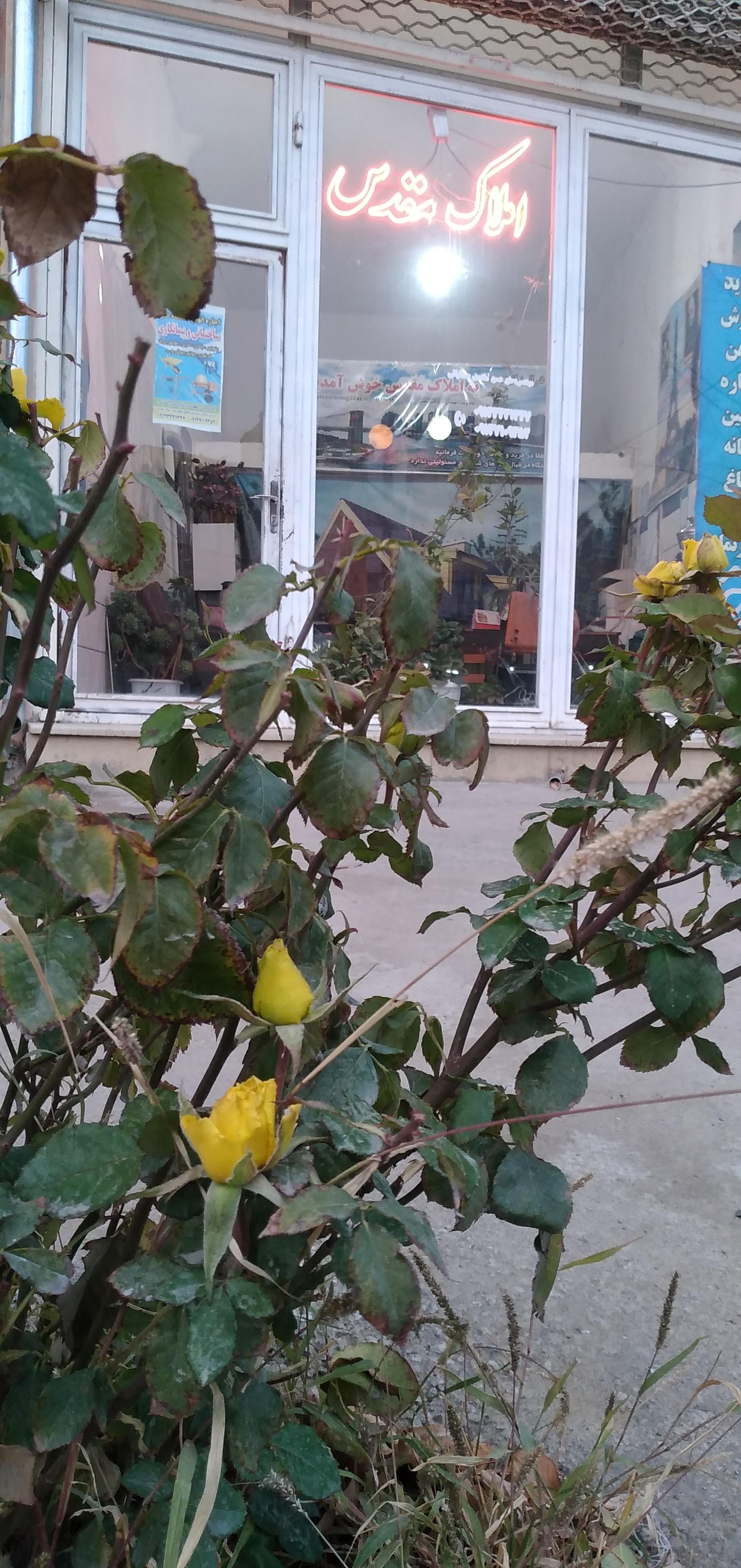 عکس مشاور املاک مقدس