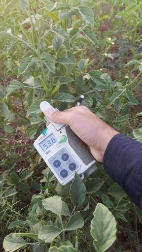 عکس واحد مزرعه دانشکده کشاورزی