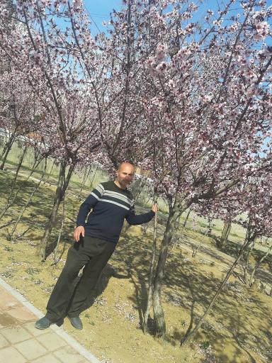 بوستان سنگی دریاچه چیتگر