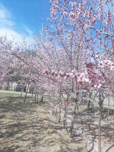 بوستان سنگی دریاچه چیتگر