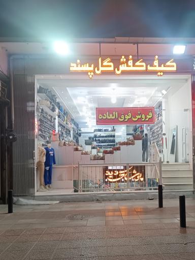 عکس کیف کفش گل پسند