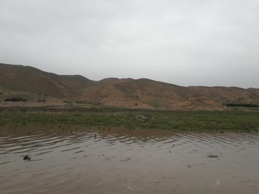 عکس سد کارده