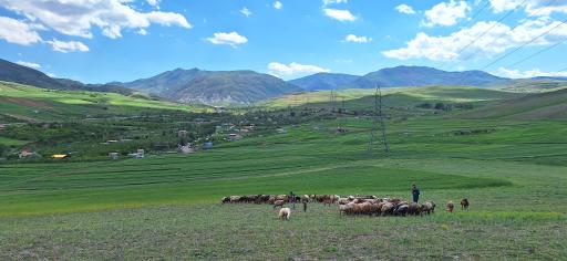 عکس دامن آباد