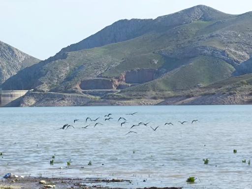 عکس سد کارده