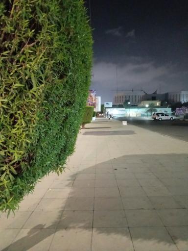 عکس پارک شهید دباغیان