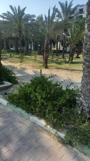 عکس پارک شهید دباغیان