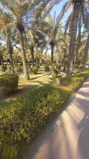 عکس پارک شهید دباغیان